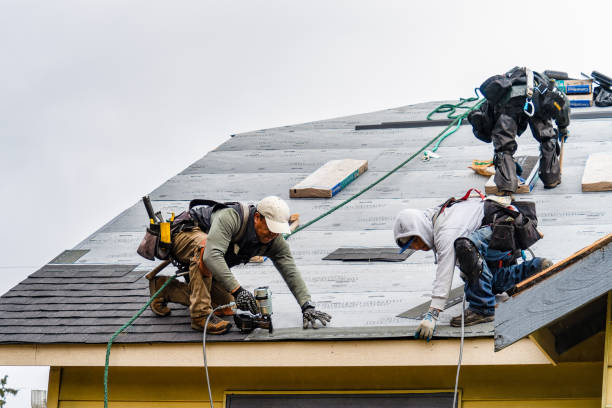Professional Gutter Installation technician working in Tyler, MN